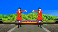 广场舞《兵哥哥》双人对跳版