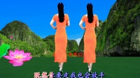 燕子广场舞《既然你要走我也会放手》背面带