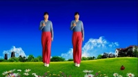 阿真广场舞《荒漠的玫瑰》正背面