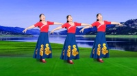 民族风广场舞《欢乐的海洋》优美大气