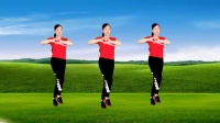 DJ热歌广场舞《一生心不变》正面附教学