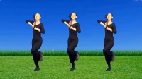 广场舞《洗衣歌》孝感百佳团队练舞宝地