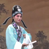 豫剧《必正与妙常》全场戏 漯河市豫剧团演