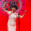 河南坠子《双锁山》