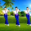 广场舞《实在不该喜欢你》简单好看附教学