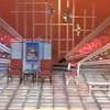 电脑与豆腐脑下载