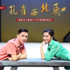 黄梅戏《孔雀西北飞》高清完整版下载