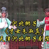河北梆子《才女朱淑真》全场 天津河北梆子
