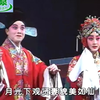 豫剧《疯哑怨》全场戏下载