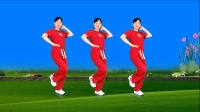 玫香广场舞原创《半辈子过去了》64步正背面