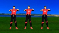 广场舞串烧《闯码头》《花桥流水》《伤心的
