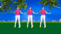 DJ流行广场舞《天太热了》正面附教学