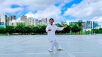 传统杨式85式太极拳下载