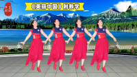 美久广场舞《美丽中国》集体舞开场舞正能量舞蹈附导师教学下载