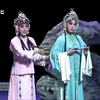 赣剧青阳腔《拜月记幽闺拜月》下载