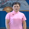 河南坠子《何文秀私访》