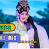 沔阳花鼓戏《追鱼》选段下载