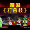 桂剧《打金枝》