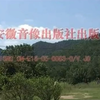 皖南花鼓戏《卖花记》下载