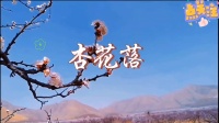 广场舞《杏花落》正背面及分解