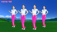 广场舞《梧桐花又开》简单动感64步附分解