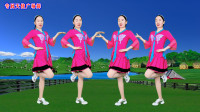 广场舞《我在草原等你来娶我》新颖大气民族