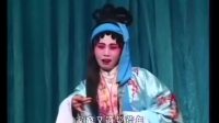 白字戏《赵五娘 琵琶记 蔡伯偕》