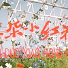 彩调剧《三朵小红花》