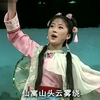 黄梅戏《雾里青传奇》全集下载