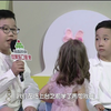 梨园春20230806期下载