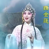 黄梅戏《三请樊梨花》全集下载