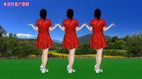 广场舞《人生几十秋》简单动感64步背面演示