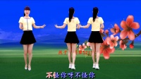 燕子广场舞《实在不该喜欢你》网络热歌旋律