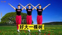 小慧广场舞《好大一棵树》简单弹跳老少包学