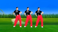 DJ广场舞《用心良苦》动感时尚附教学