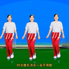 玫香广场舞《转身就是一辈子》正背面附教学