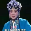 湖南花鼓戏《慈母泪》中集下载