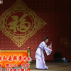胡知县断案下载