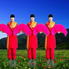 广场舞扇子舞《祖国你好》简单喜庆 正面演