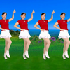 64步广场舞《想念难入睡》动感时尚简单易学