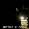 郭春美舞台歌仔戏《金探子》全集