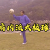 杨式太极拳府内派 太极球演练法下载