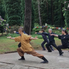 易筋经完整版（带口令词）