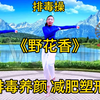 中老年排毒操《早晚各一遍》排毒养生 减肥塑形 助睡眠下载