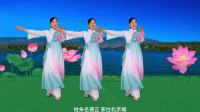 黄梅小调广场舞《戏凤》40步正背面附教学 