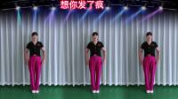 广场舞《想你发了疯》动感好看