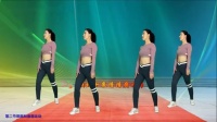 中老年零基础《30分钟健身操》综合全身运动 你想要的效果下载