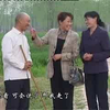 民间小调《两个憨妮争女婿》上集