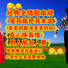 广场舞串烧《爱我就把我来追求》《真心换真