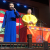 树没叶下载